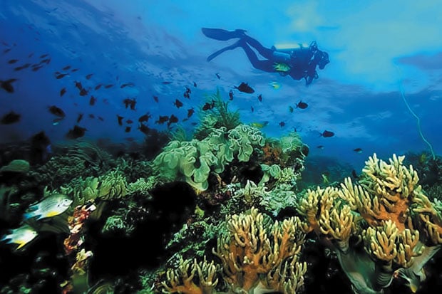 Wakatobi dan Pesona...