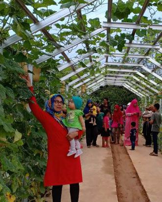 Taman Agro Inovasi TPHP...