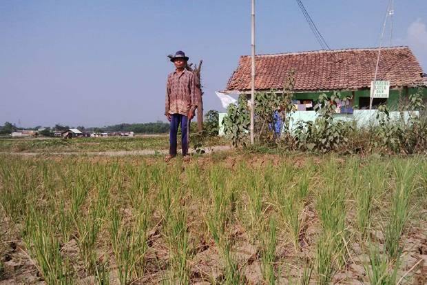 Pemerintah Ambil Langkah...