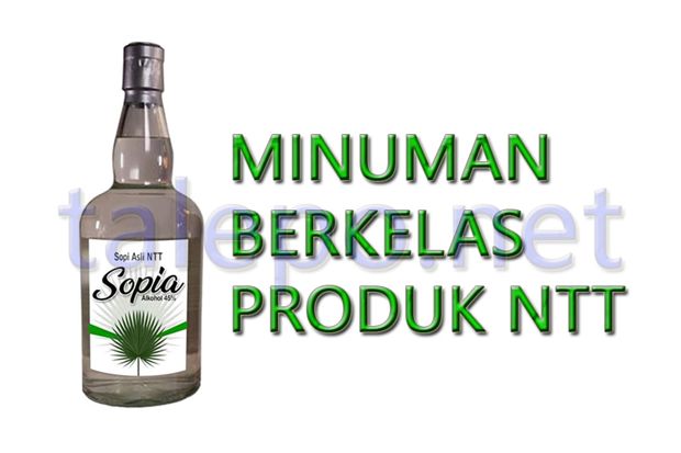Pemprov NTT Resmi Legalkan...