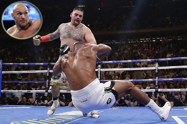 Setelah Deontay Wilder,...