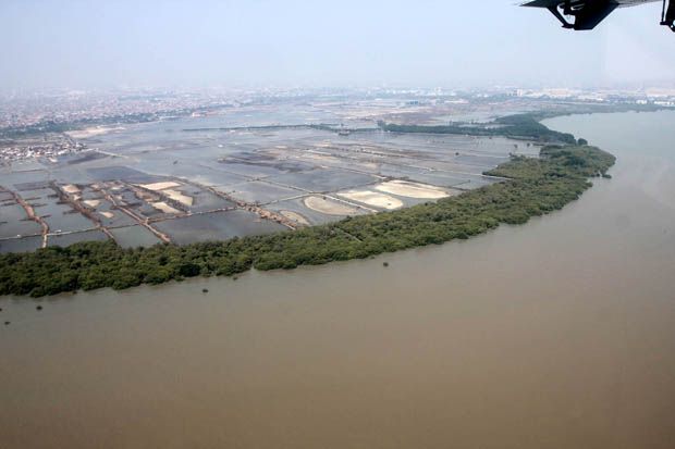 Lahan Reklamasi Pantai...