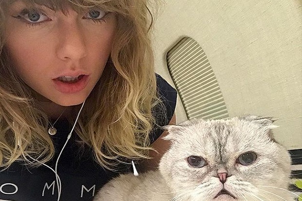 Taylor Swift Jadikan...