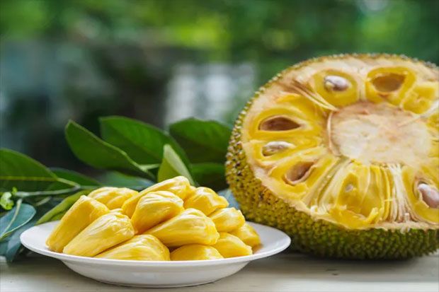 Konsumsi Nangka Bisa...
