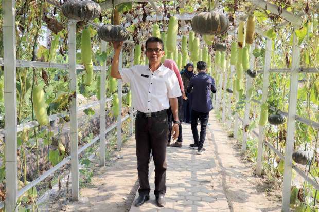 Taman Agro Inovasi Dinas...