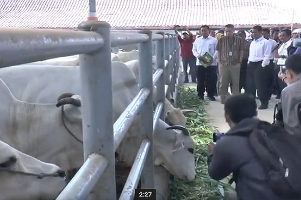 Mentan Tertarik Indukan...