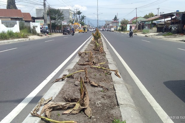 Baru Sepekan, Bunga...