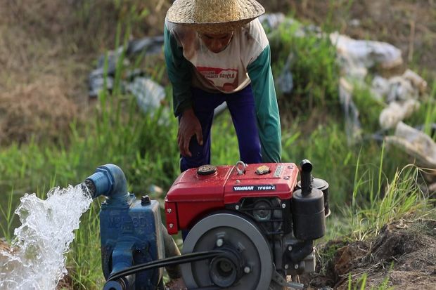 Dicover Asuransi, Petani...
