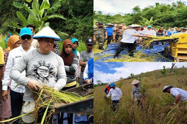 Bupati Kepulauan Sula...