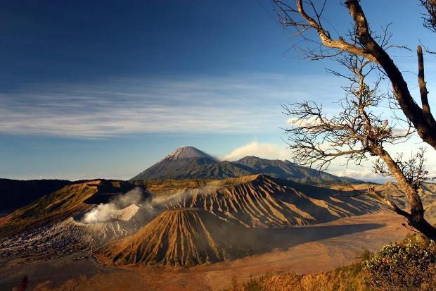 Eksotika Bromo 2019...