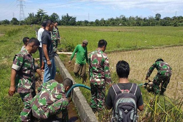 Kementan-TNI Sinergi...