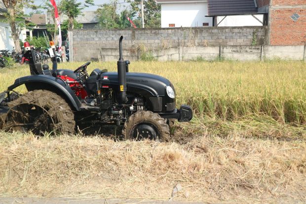 Kemarau, Kementan Imbau...