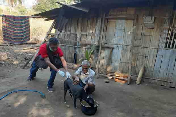 Kabupaten Sikka KLB...