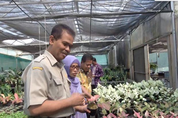 Kemudahan Izin Kementan,...