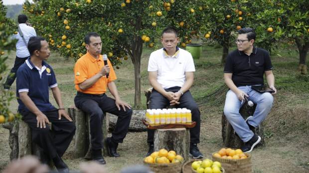 Teknologi Bujangseta...