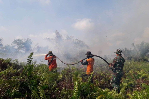 Kebakaran Perkebunan...