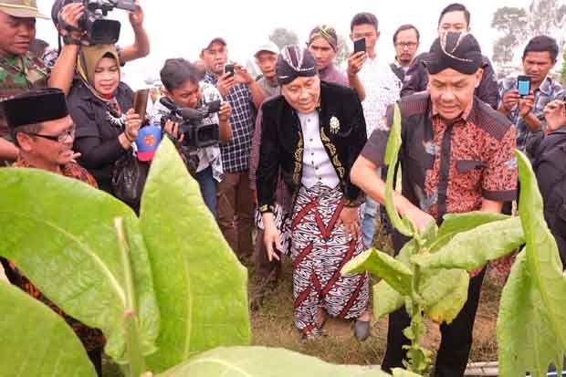 Gubernur Jateng Minta...