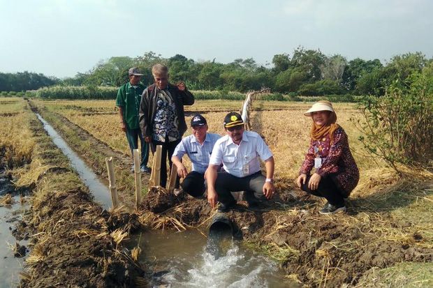 Brebes Manfaatkan Pompanisasi...