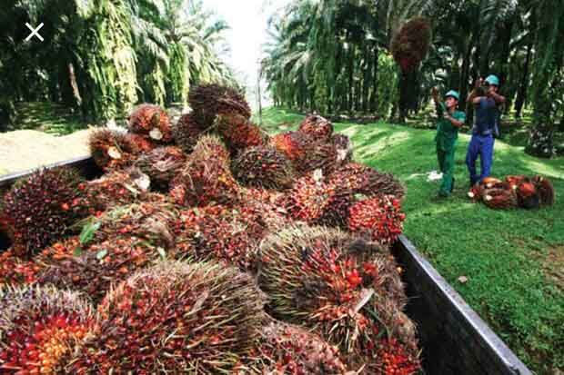 Bupati Kobar Dukung...