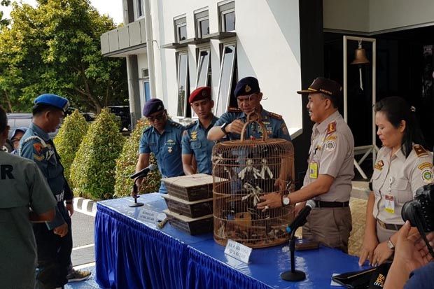 TNI AL Gagalkan Penyelundupan...
