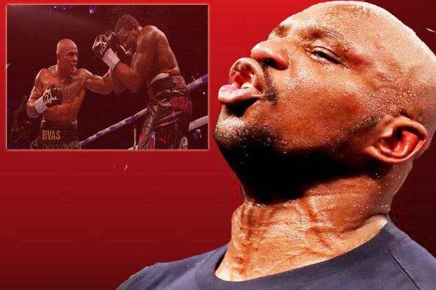 Dillian Whyte Murka...