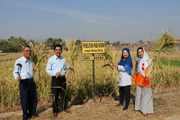 UNS Berhasil Kembangkan...