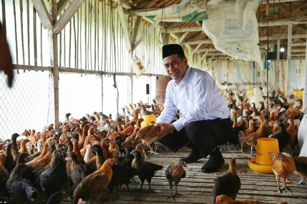 Ketua Komisi II DPD...