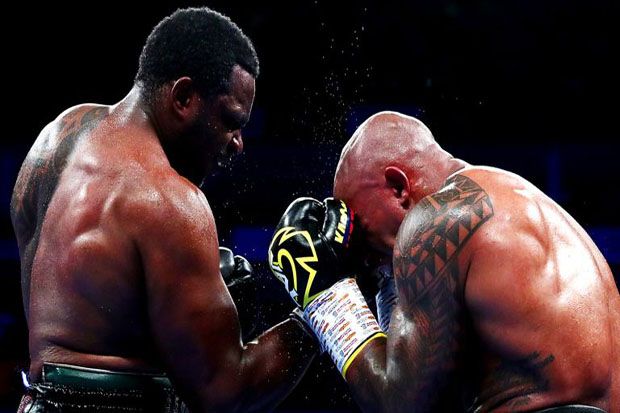 VADA: Dillian Whyte...