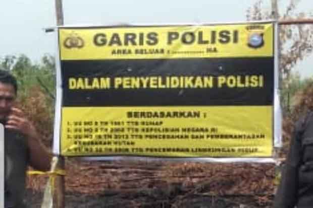 Lahan HTI di Kabupaten...