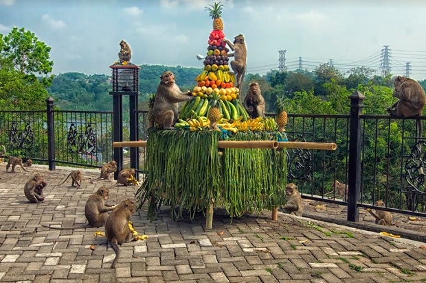 Gua Kreo, Legenda Kawanan...
