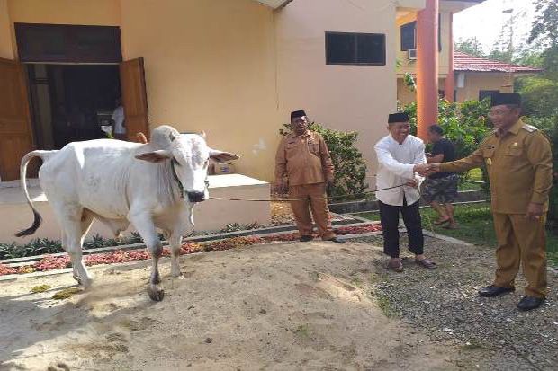 Bupati Boalemo Evaluasi...