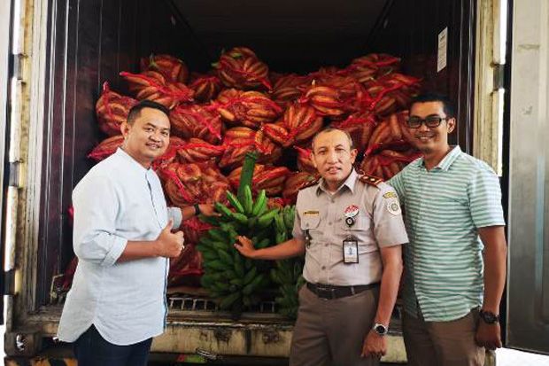 Pisang Indonesia Masuk...