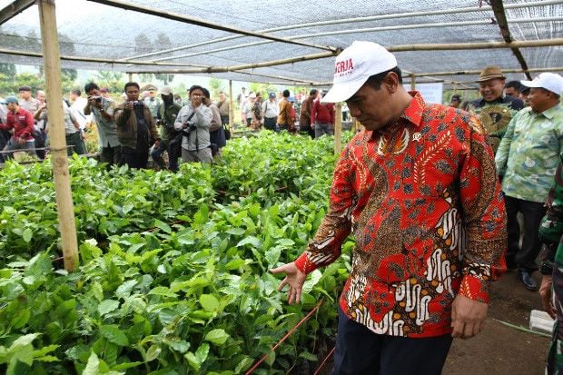 Pembangunan Pertanian...