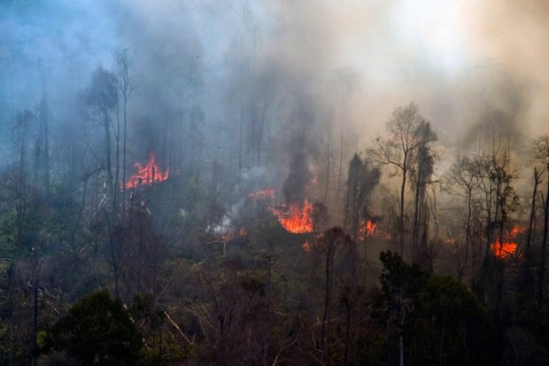 5 Hektare Lahan Terbakar...