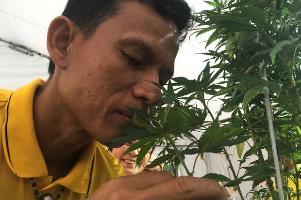 Dilegalkan di Thailand,...