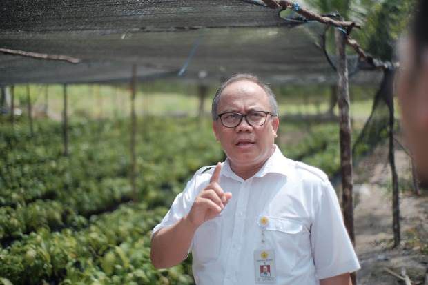 Peluang Kakao Indonesia...