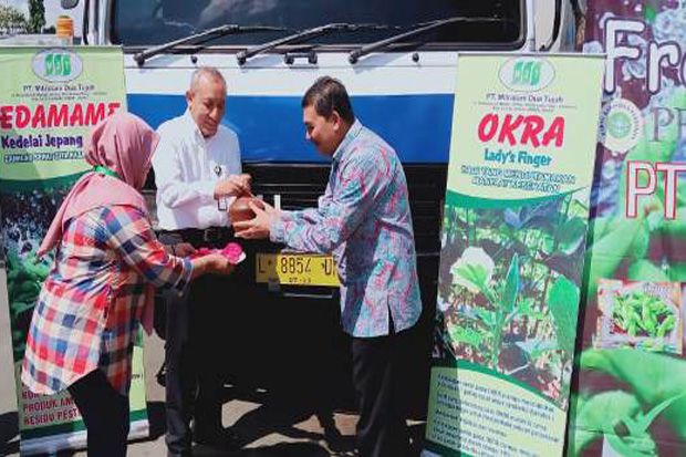 Edamame Jawa Timur Terus...