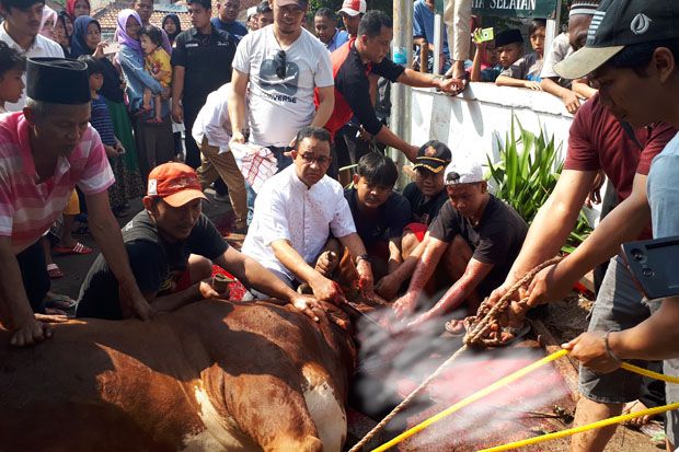 Gubernur Anies Baswedan...