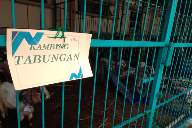 Menabung Dua Pekan,...
