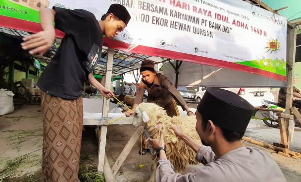 Bank DKI Sebar Kurban...