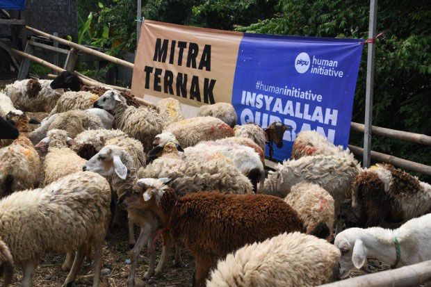 Human Initiative Distribusikan...