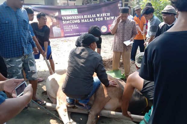 Tingkatkan Kepedulian...