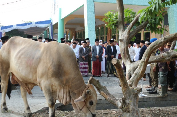 Dodi: Berqurban Dekatkan...