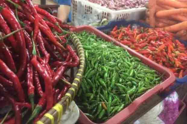 Harga Cabai Rawit di...