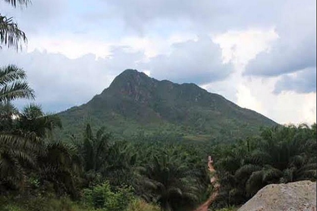 Pemkab Kobar Kembangkan...