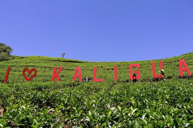 Kaligua, Oase Air Abadi...
