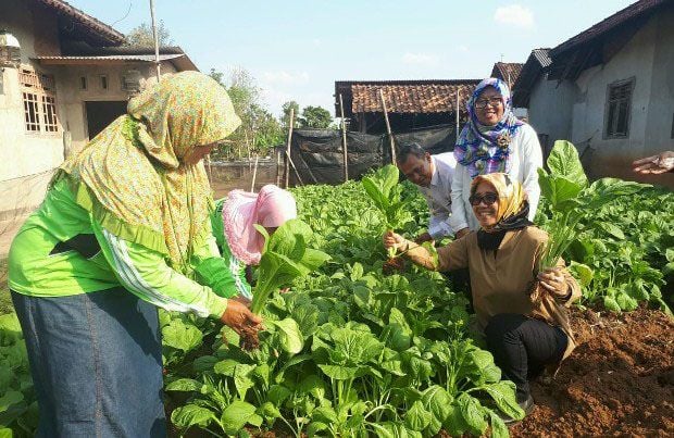 BKP Kementan Optimalkan...