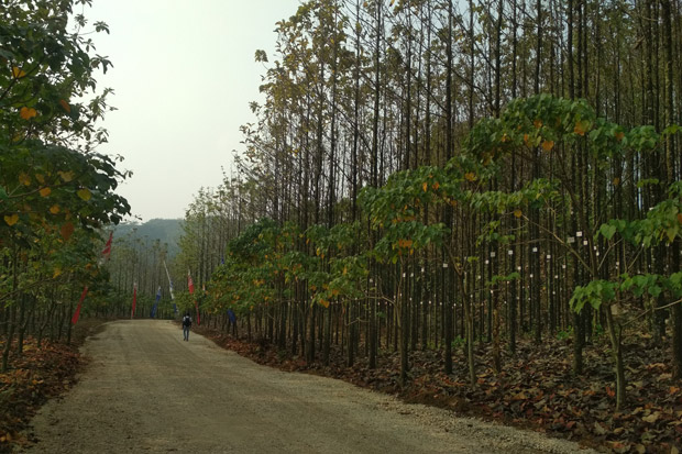 Ini Spot Baru Lokasi...