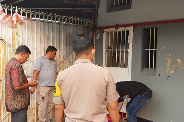Napi Tewas Tergantung...