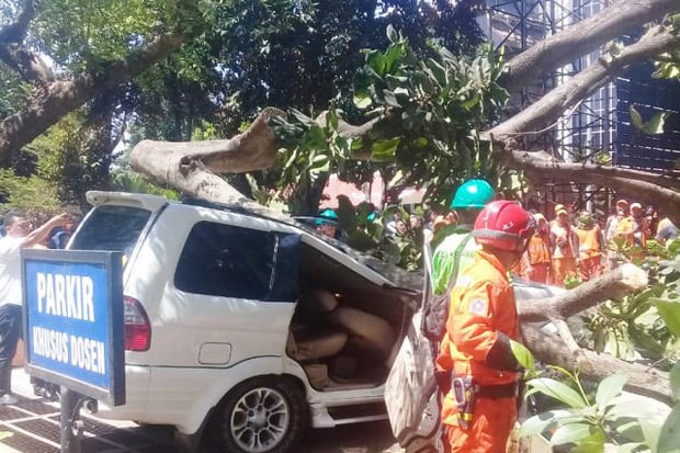 Mobil Tertimpa Pohon...